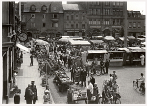 Senftenberg